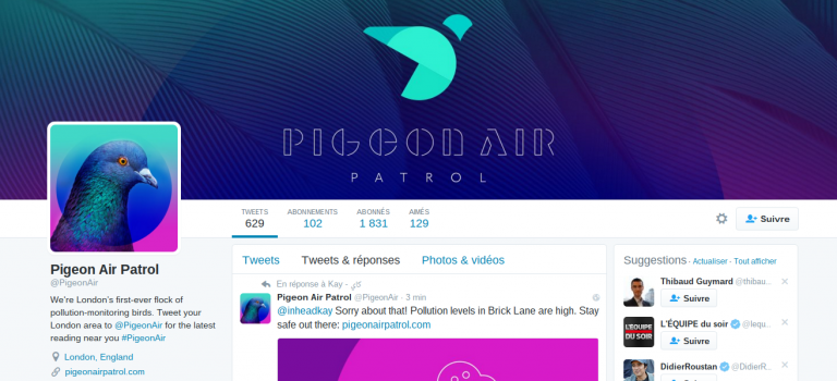 Big data et robot Twitter : les pigeons ont de la ressource